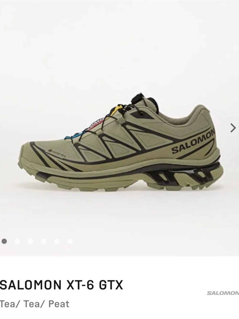 Salomon XT-6 GTX Trail Shoe — Size 8.5 Women’s, 7.5 Men’s - Tea Peat